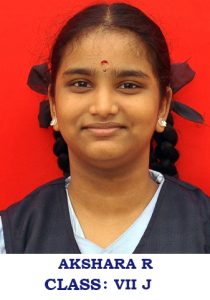 OUTSTANDING RECORD IN THE INTERNATIONAL ABACUS ARITHMETIC MATHEMATICS GRADING EXAMINATION